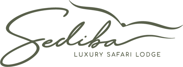 Sediba